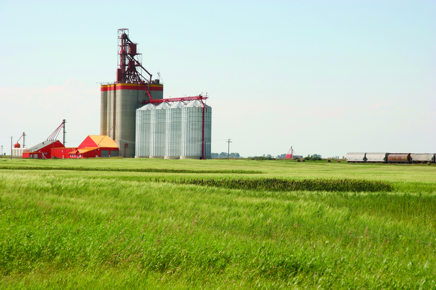 grain industry